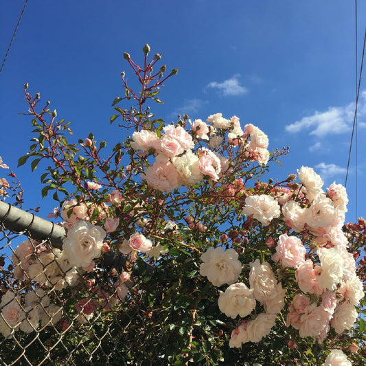 Top 10 cute summer swimsuits & bikinis for girls 2020