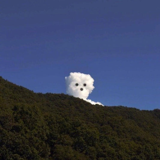 5  hottest young male models on Instagram deserve your attention