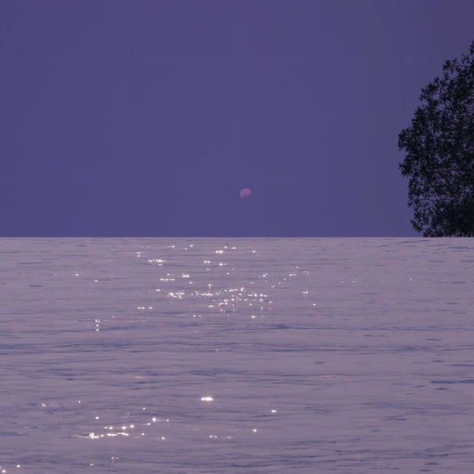 Incredibly Awesome Pieces Of plus size swimsuit for under $40