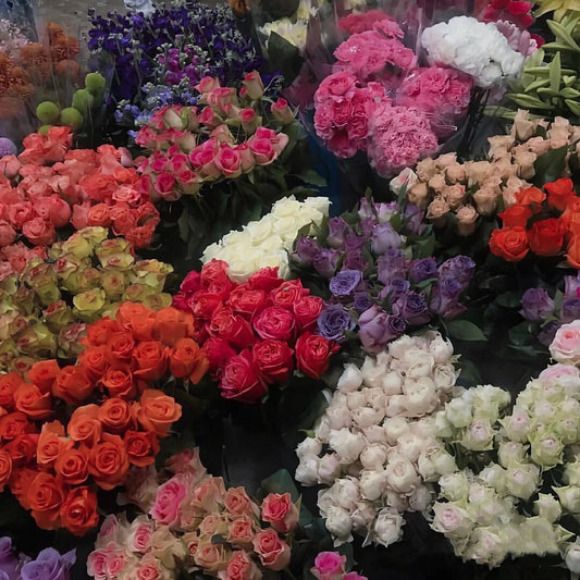 How to choose the best swimsuit color for your skin undertone?