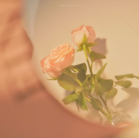 13 Hot European Male Models absolutely amaze you