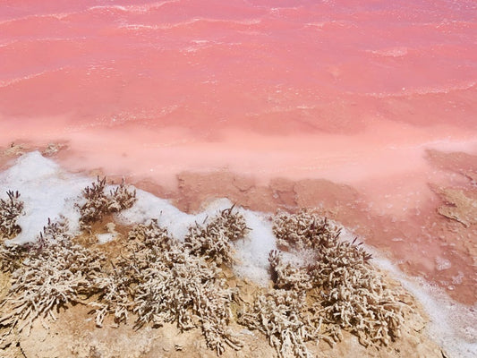 10 most unique beaches worth a vacation for families