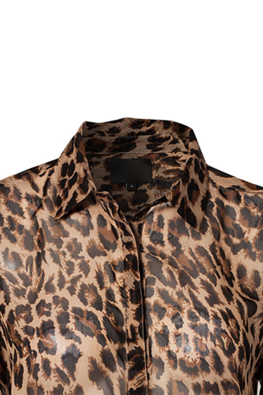 Iyasson Leopard Print Long Sleeve Casual Chiffon Blouse